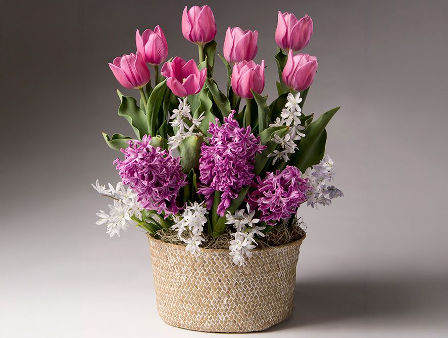 HG26-Floral_05.jpg