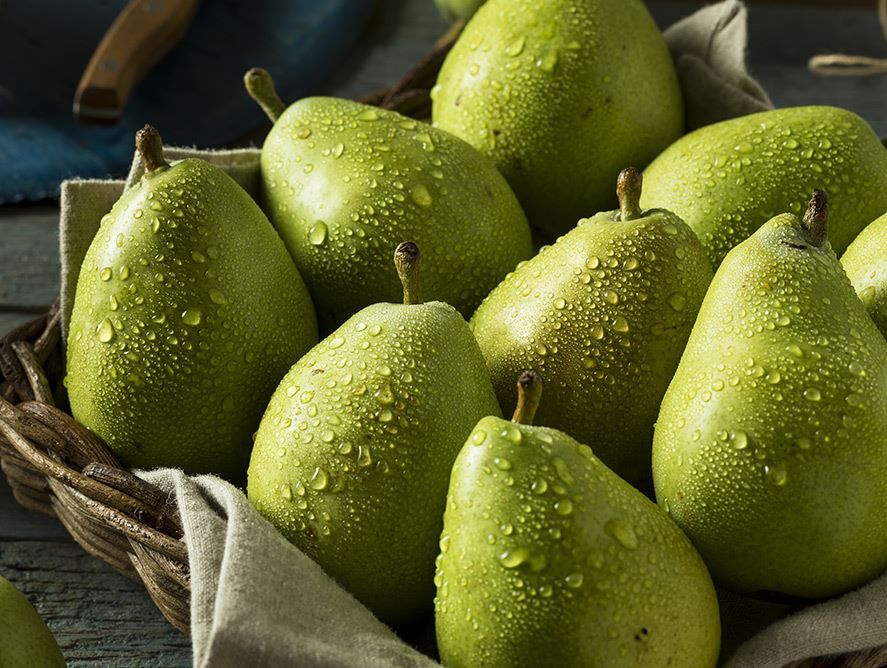 D’Anjou Pears