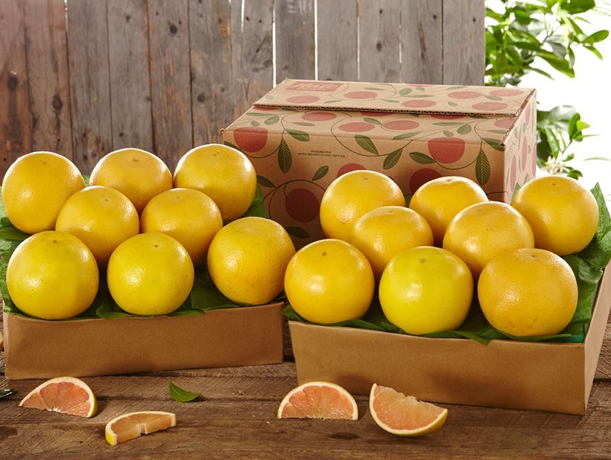 Buy Indian River Ruby Red Grapefruit Online