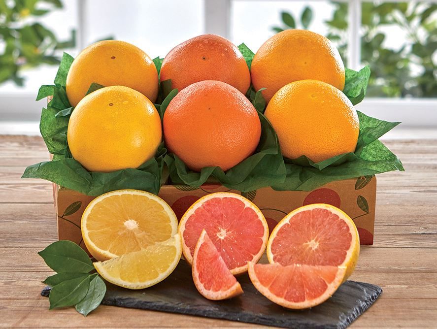 Grapefruit Trio 2 of each variety Hale Groves