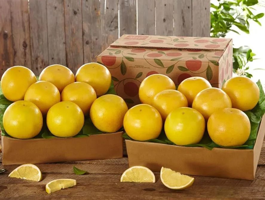 hg-whitegrapefruit_03.jpg
