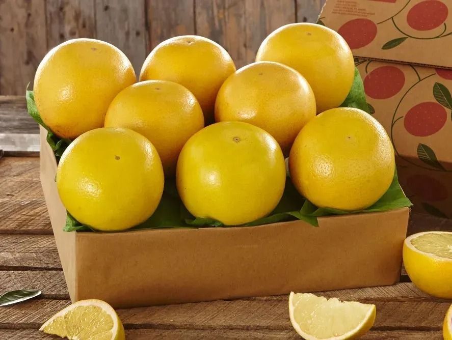 hg-whitegrapefruit_04.jpg