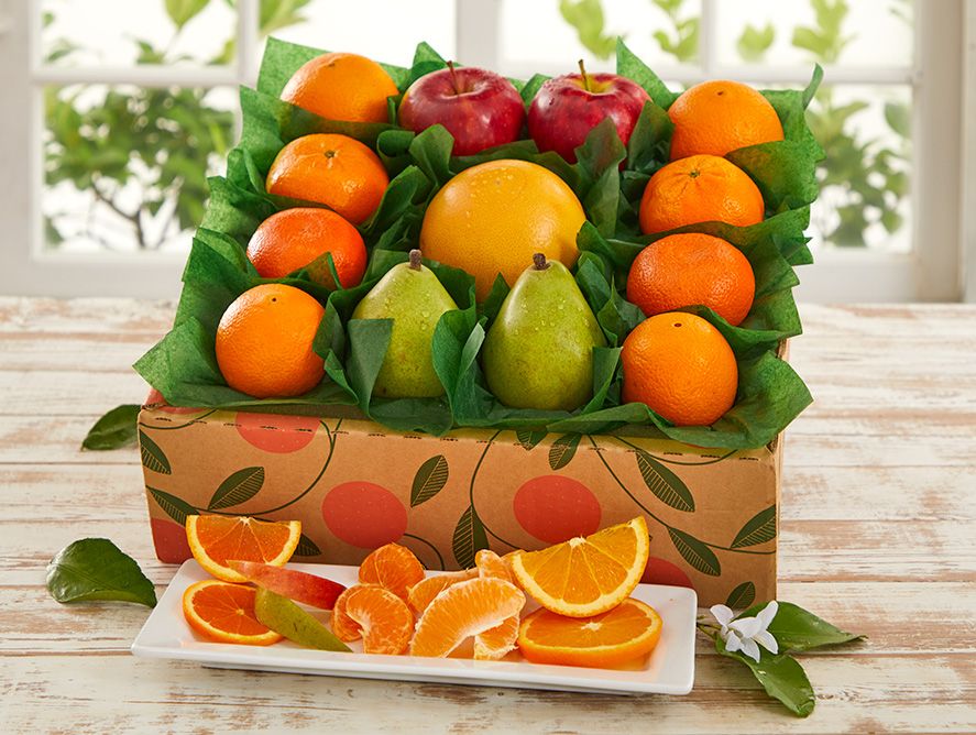 Mini Fruit Rainbow with Honeybells