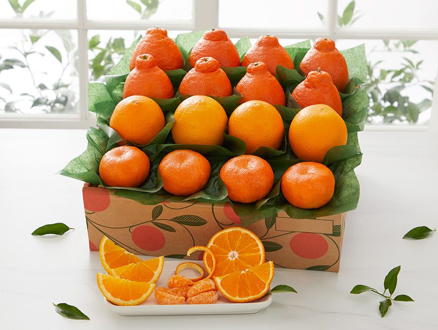 Growers Choice