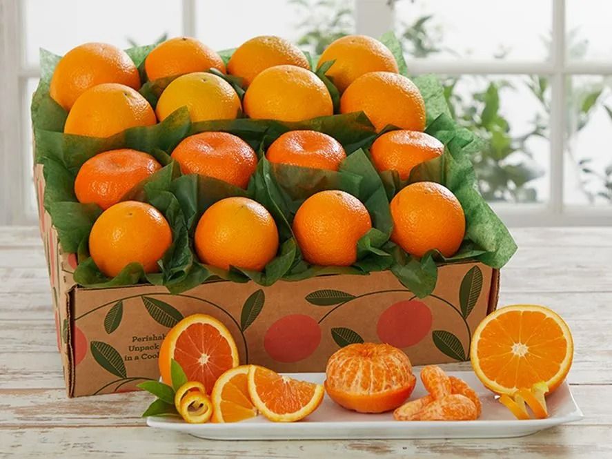 Orange Extravaganza | Hale Groves