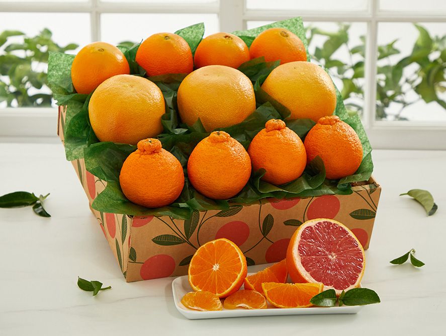 The Pelican - with Honeybells - Hale Groves - Fruit Baskets