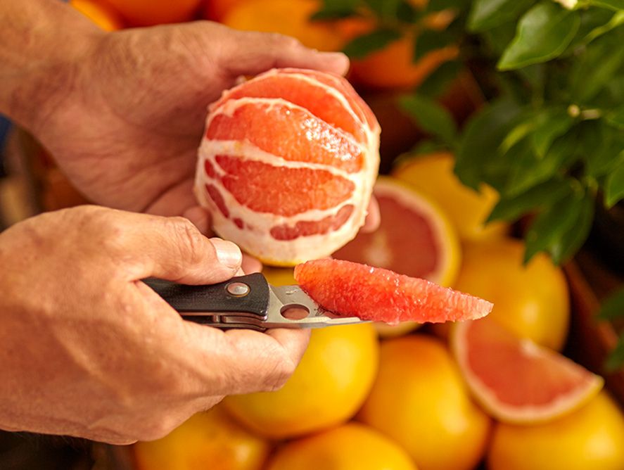 hg24-grapefruit_01.jpg