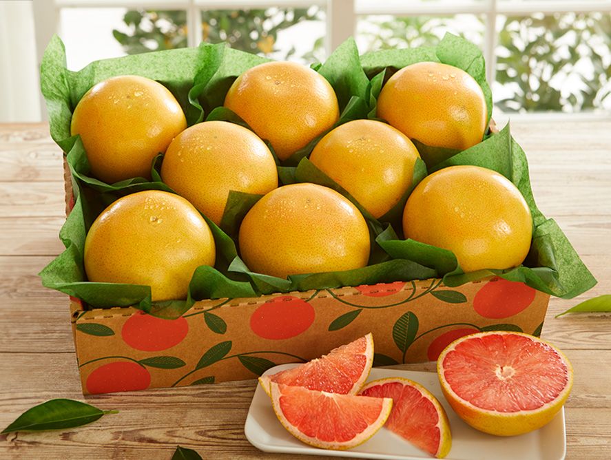 hg24-grapefruit_07.jpg