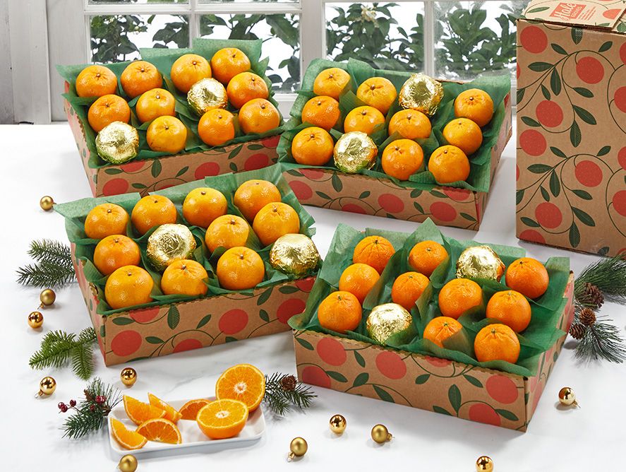 hg24-holidaygolds_03.jpg