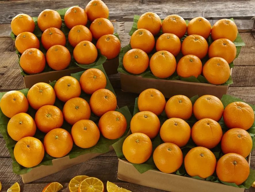 hg24-tangerines_03.jpg