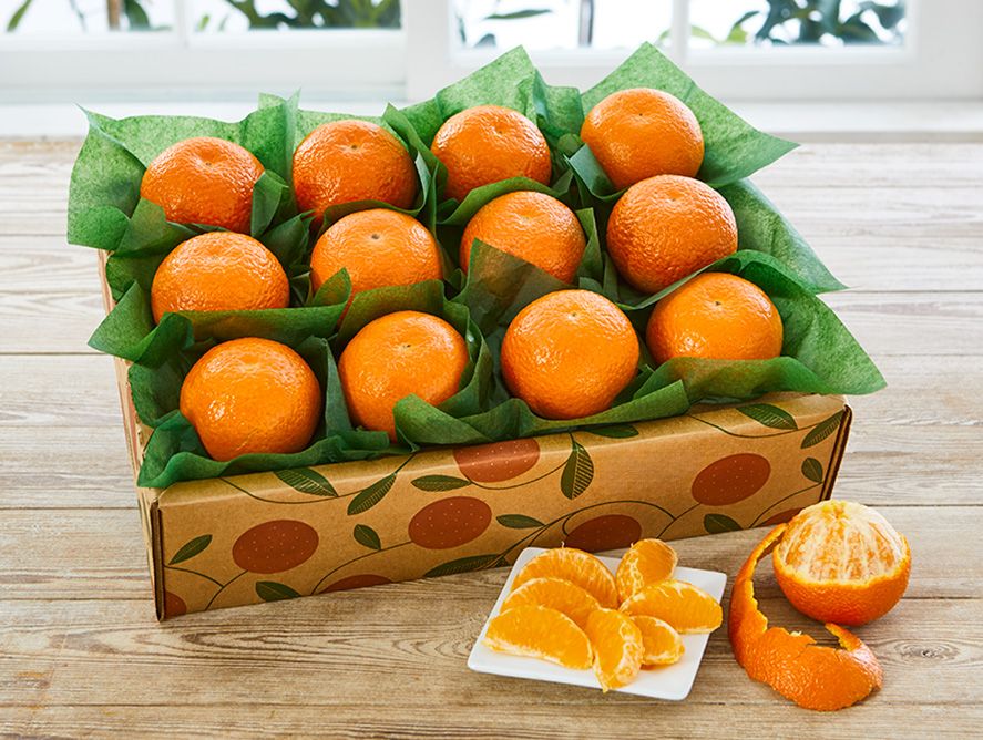 hg24-tangerines_06.jpg
