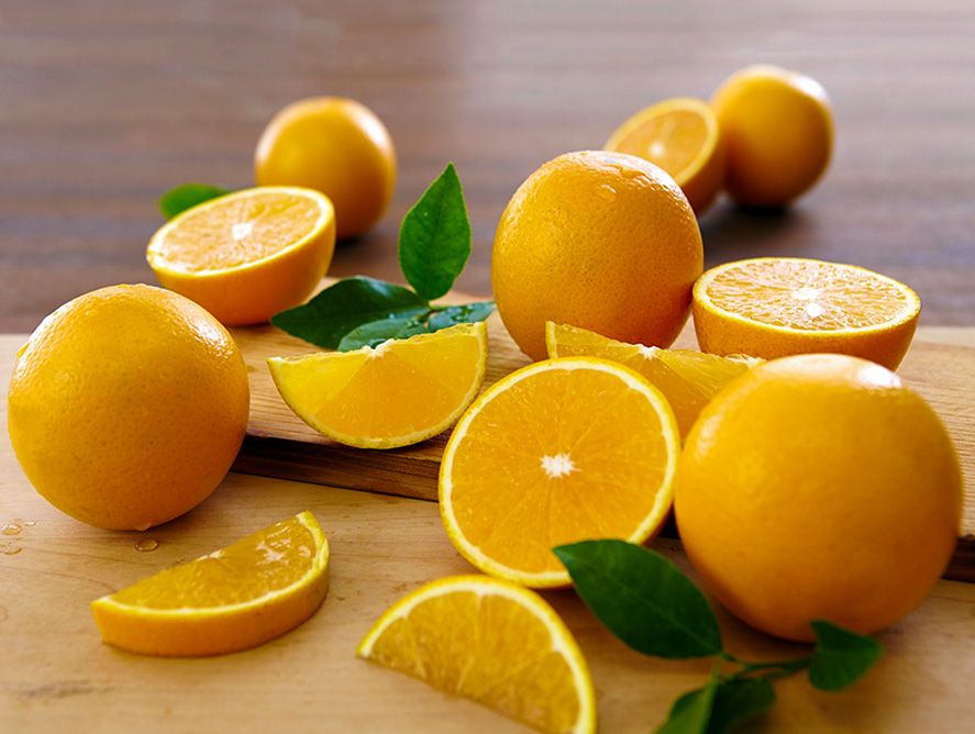 Valencia Oranges