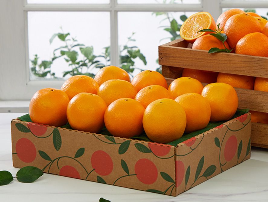 Citrus Lovers Club - 5 Months - All Oranges