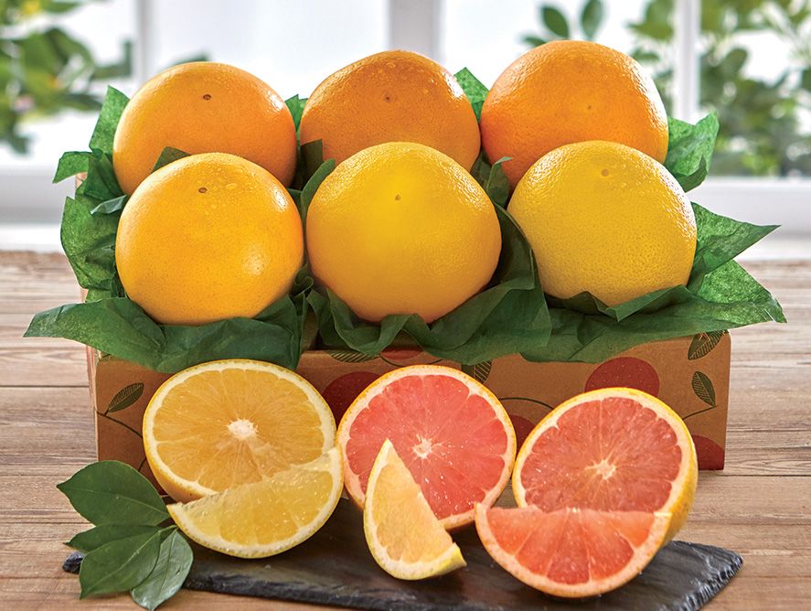 Grapefruit Duo