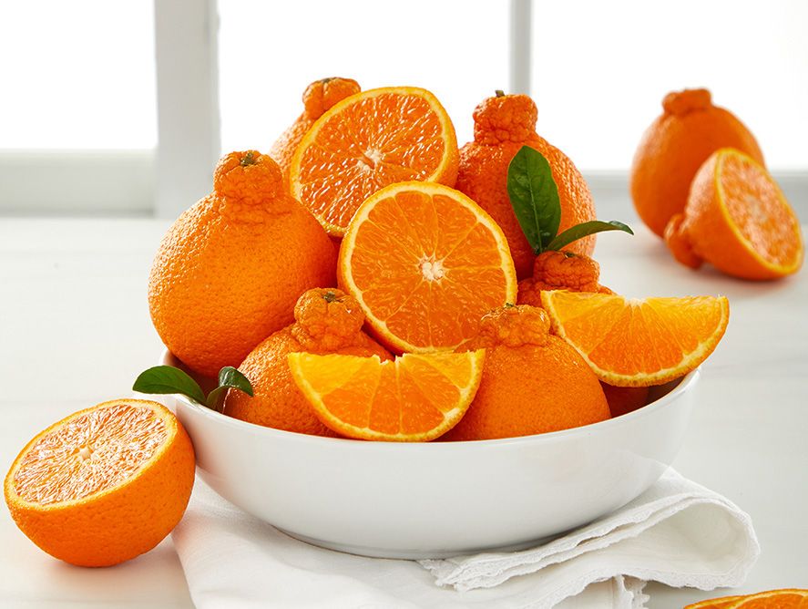 hg25-goldenhoneybells_01.jpg