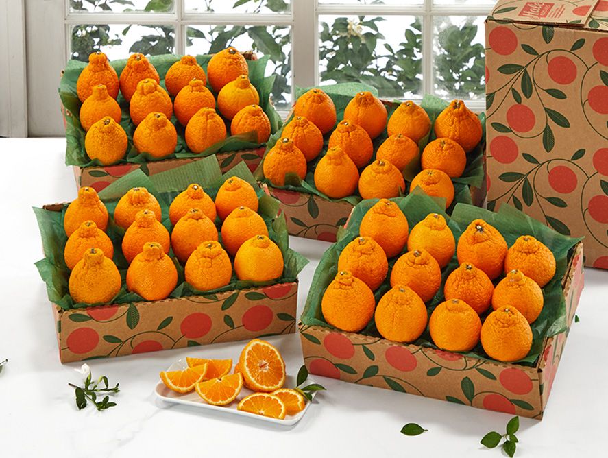 hg25-goldenhoneybells_04.jpg