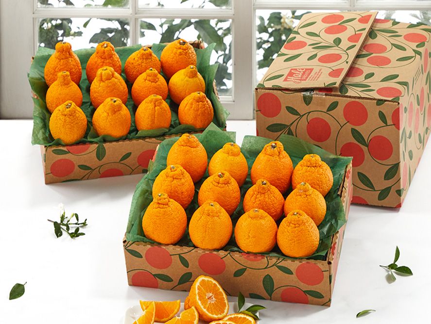 hg25-goldenhoneybells_06.jpg