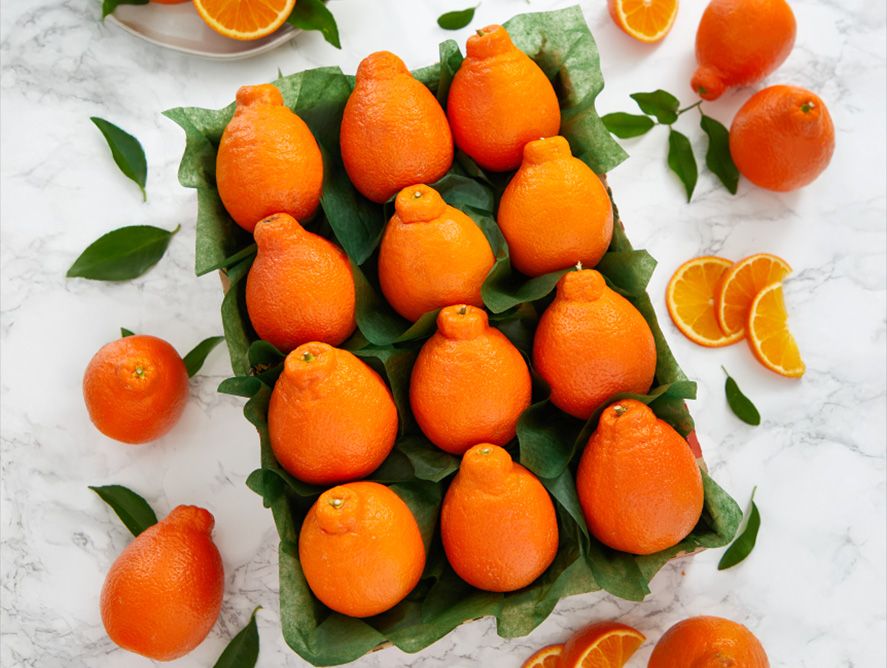 hg25-honeybells_02.jpg