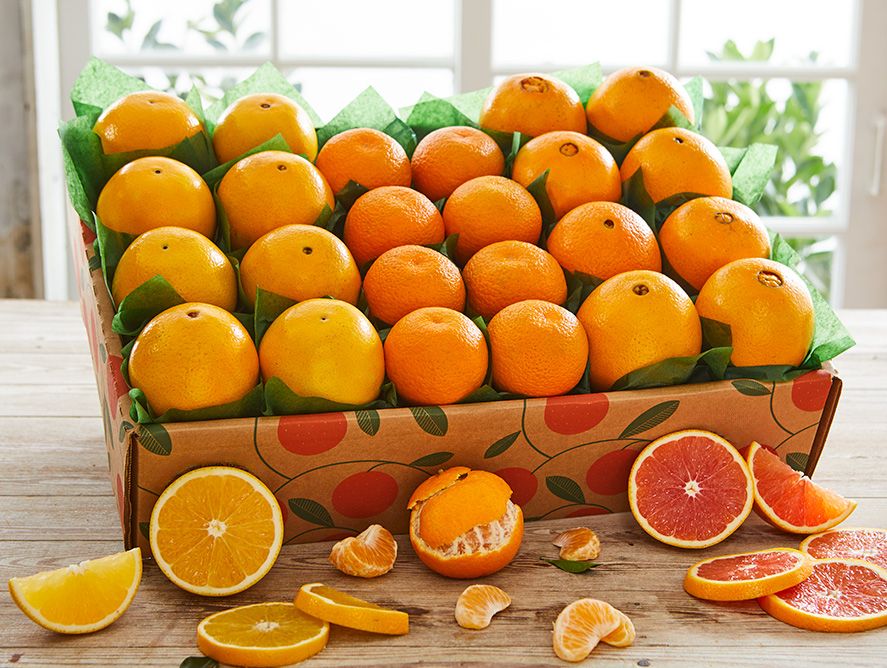 Spring Citrus Collection