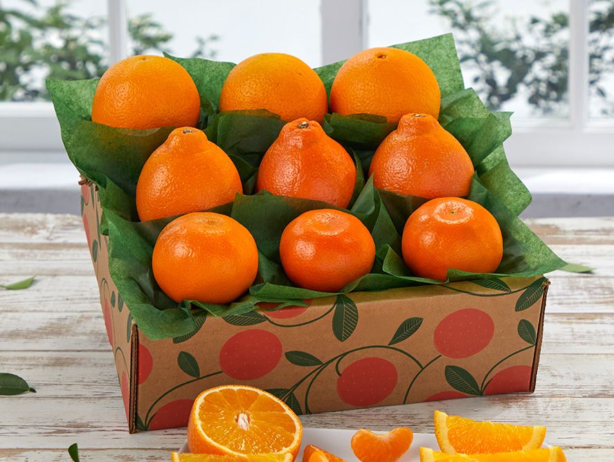 Spring Favorites