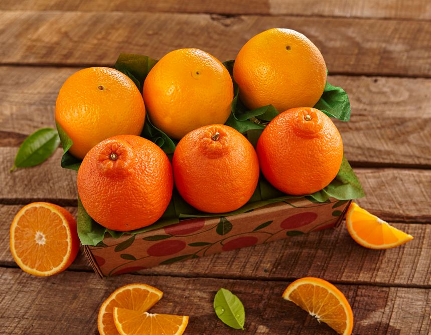 Honeybells Florida Tangelos & Oranges Gourmet Honeybell