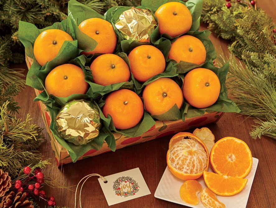 Sol Zest Mandarin Jewels