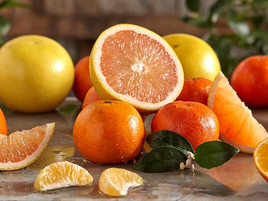 Hale Groves Since 1947 Temple Oranges and Grapefruit