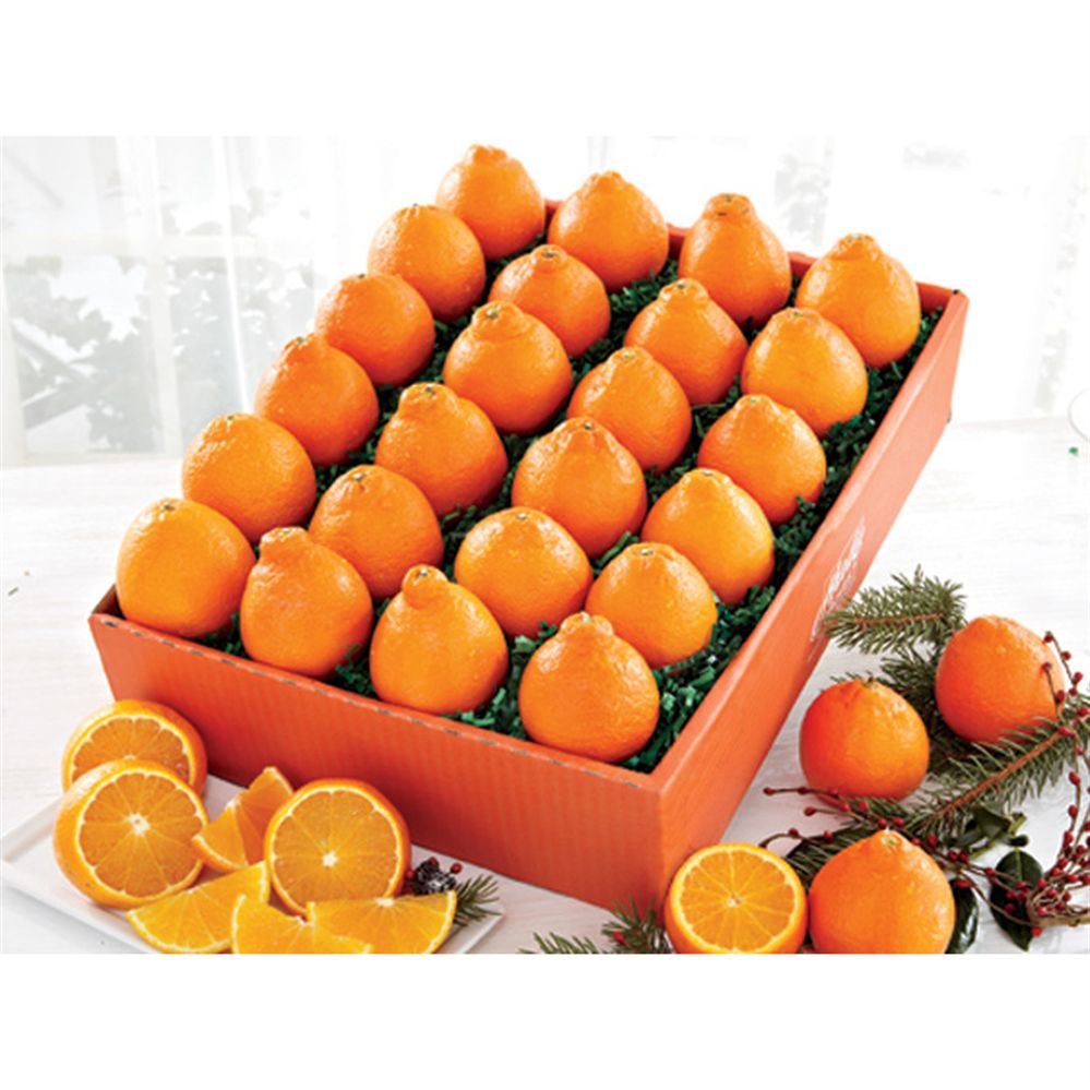 Mini Honeybell Supreme Mini Honeybells Florida Honeybell Oranges