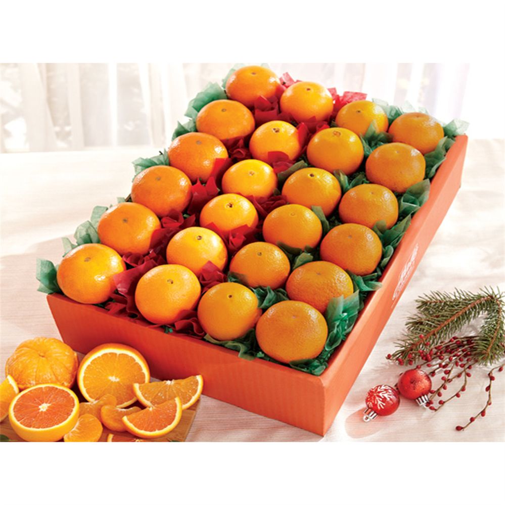 Orange Spectacular Florida Oranges Hale Groves